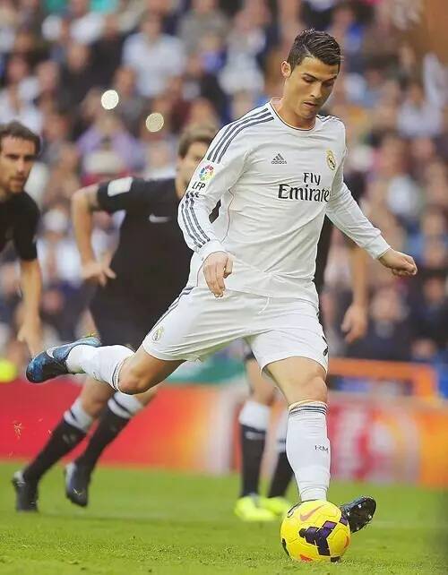 迷与媒体的 迷与媒体的